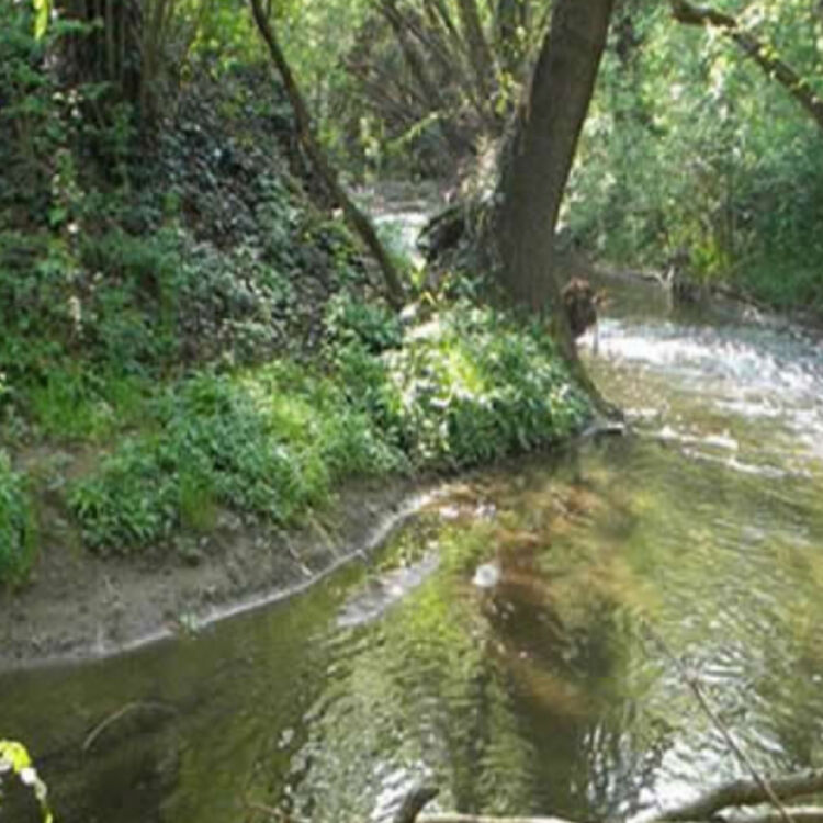 Parco del Laveggio Mendrisiotto Turismo